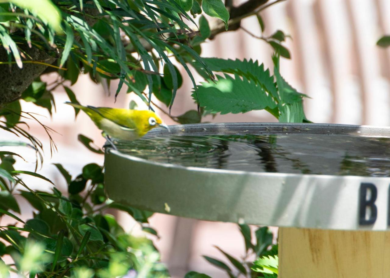 Bird Hotel Kamakura Ngoại thất bức ảnh